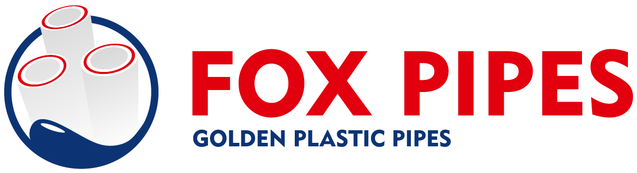 Logo Footer